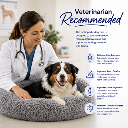 Cloud K9 — Ultra-Soft Anti-Anxiety Dog Bed